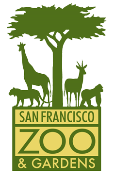 tree boa - San Francisco Zoo & Gardens